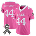 Pink Brain Cancer Vapor Limited Jersey - All Stitched